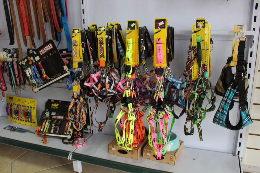 Notre Dame I Pet Shop